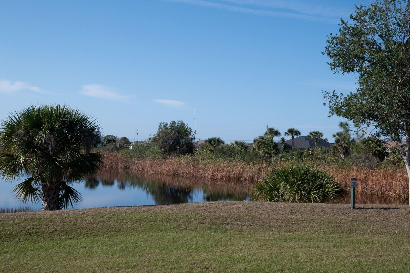 Photo #23