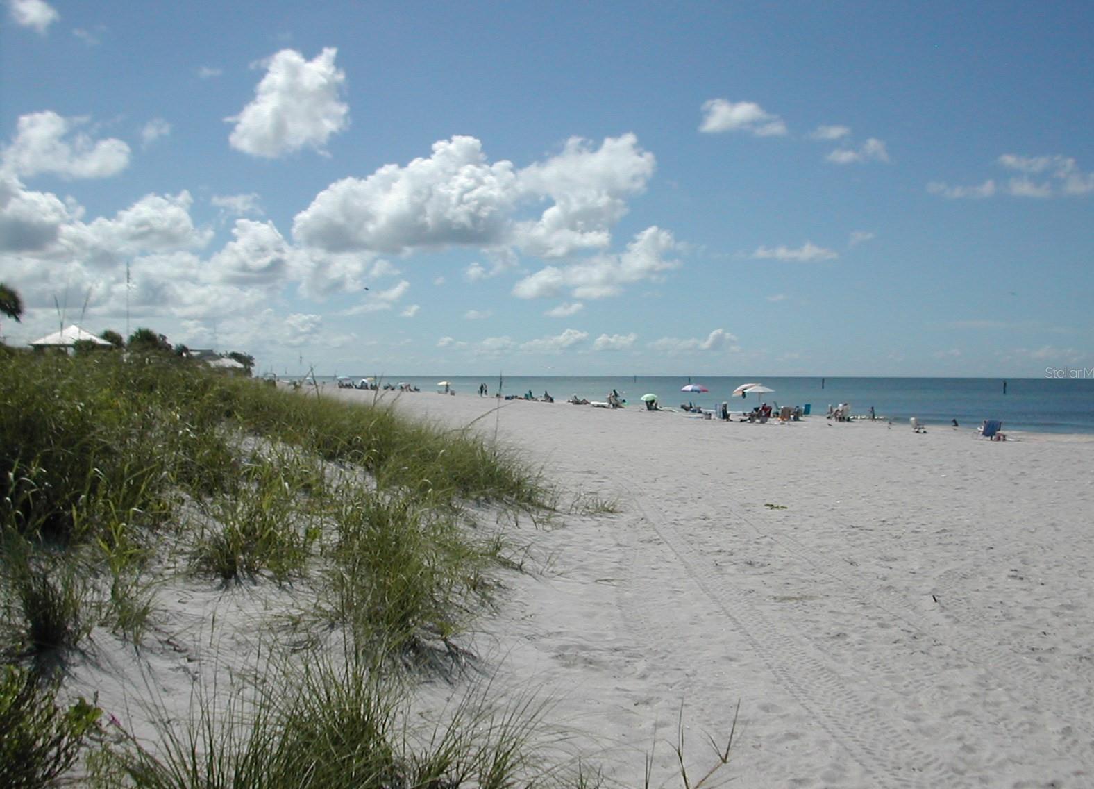 Photo #39