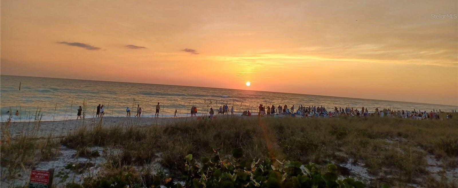 Photo #62