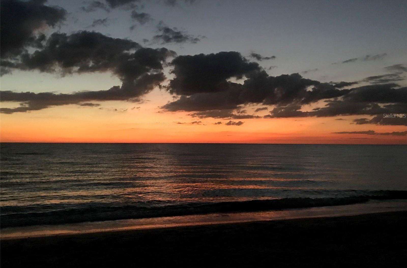Photo #53