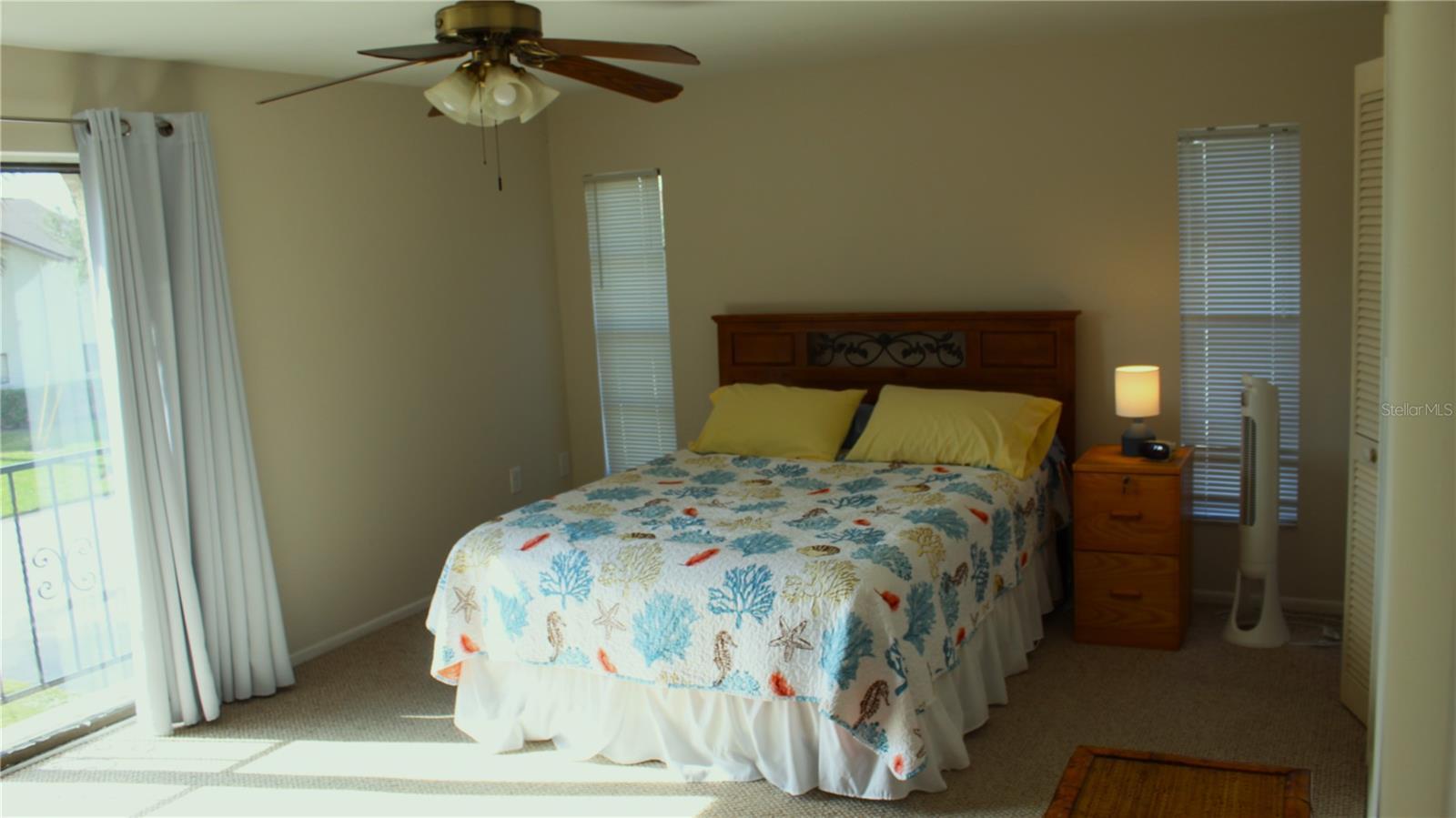 Photo #15