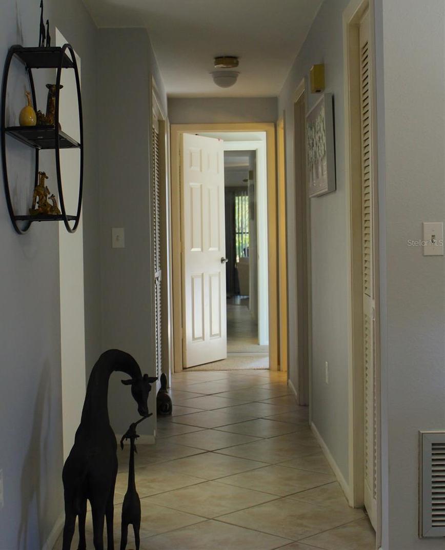 Photo #13