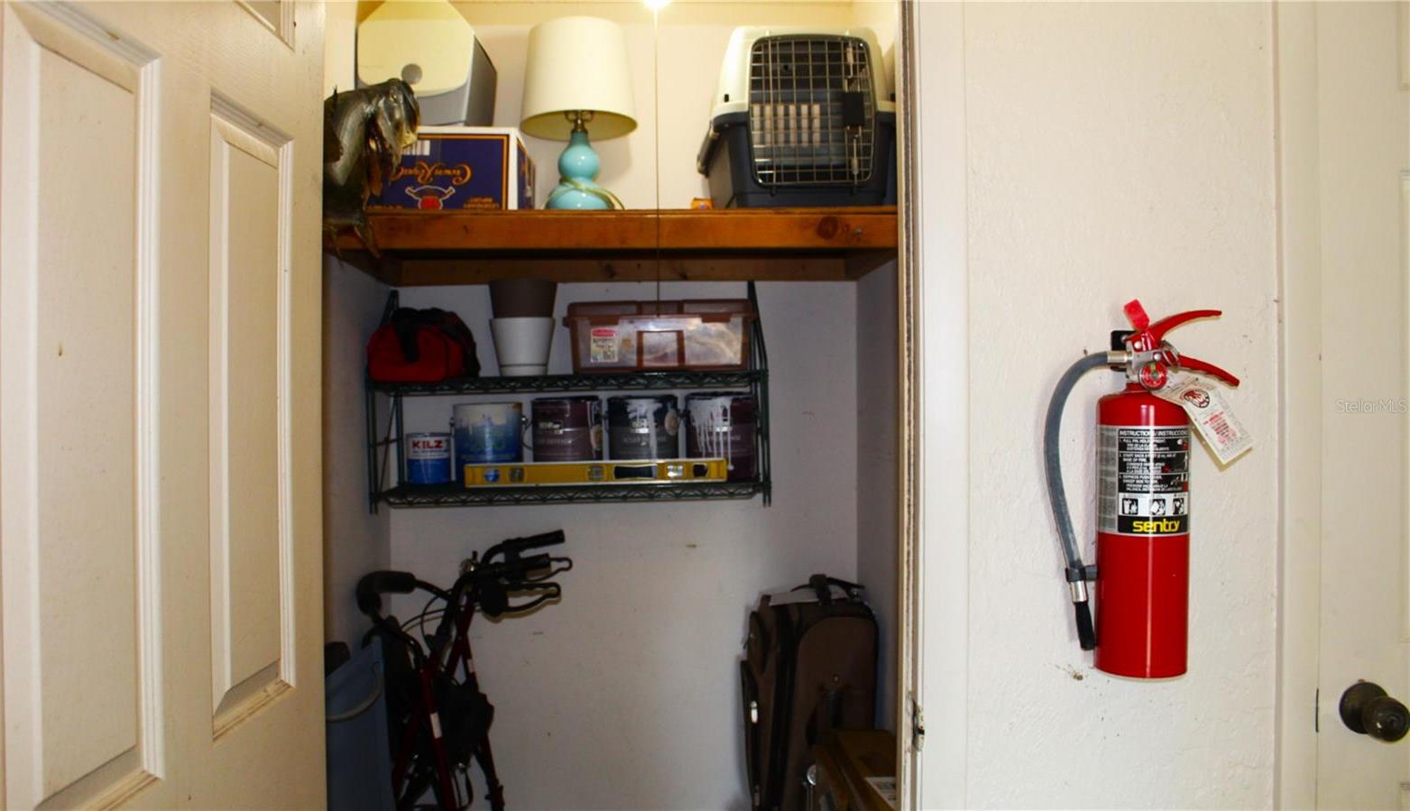 Photo #5