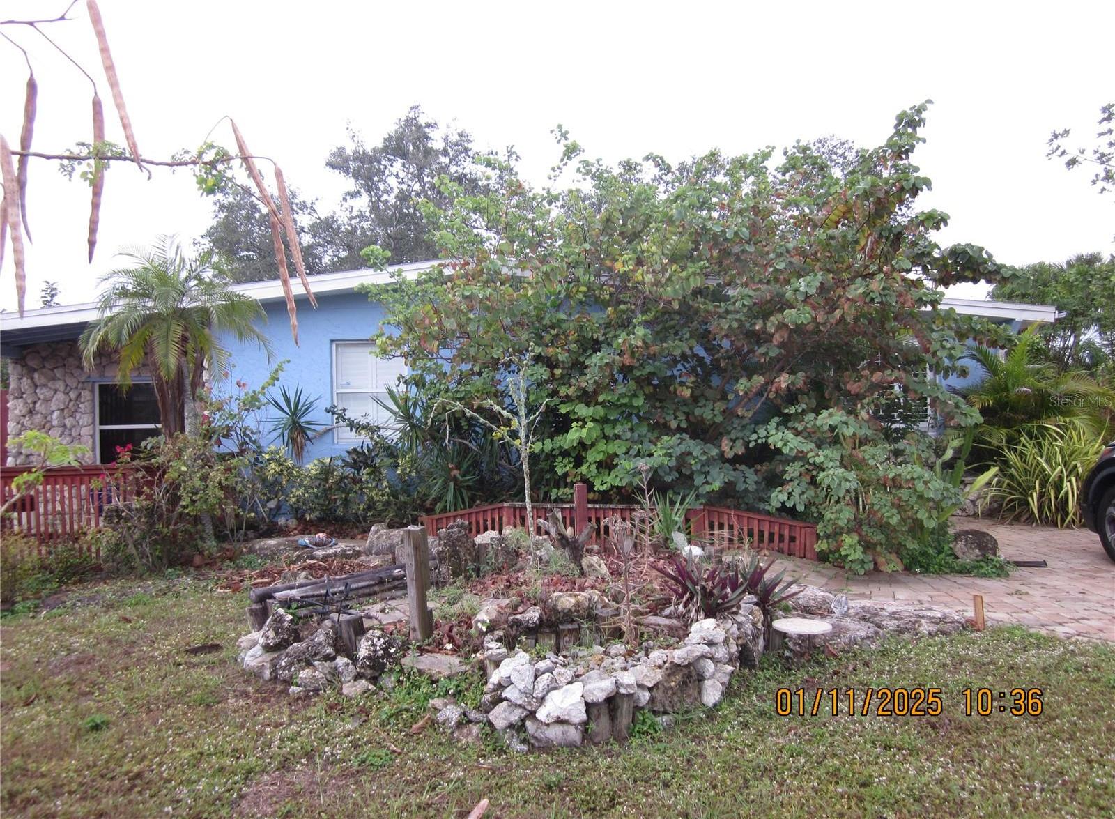Photo #4