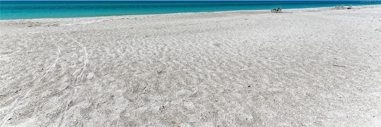 Photo #49