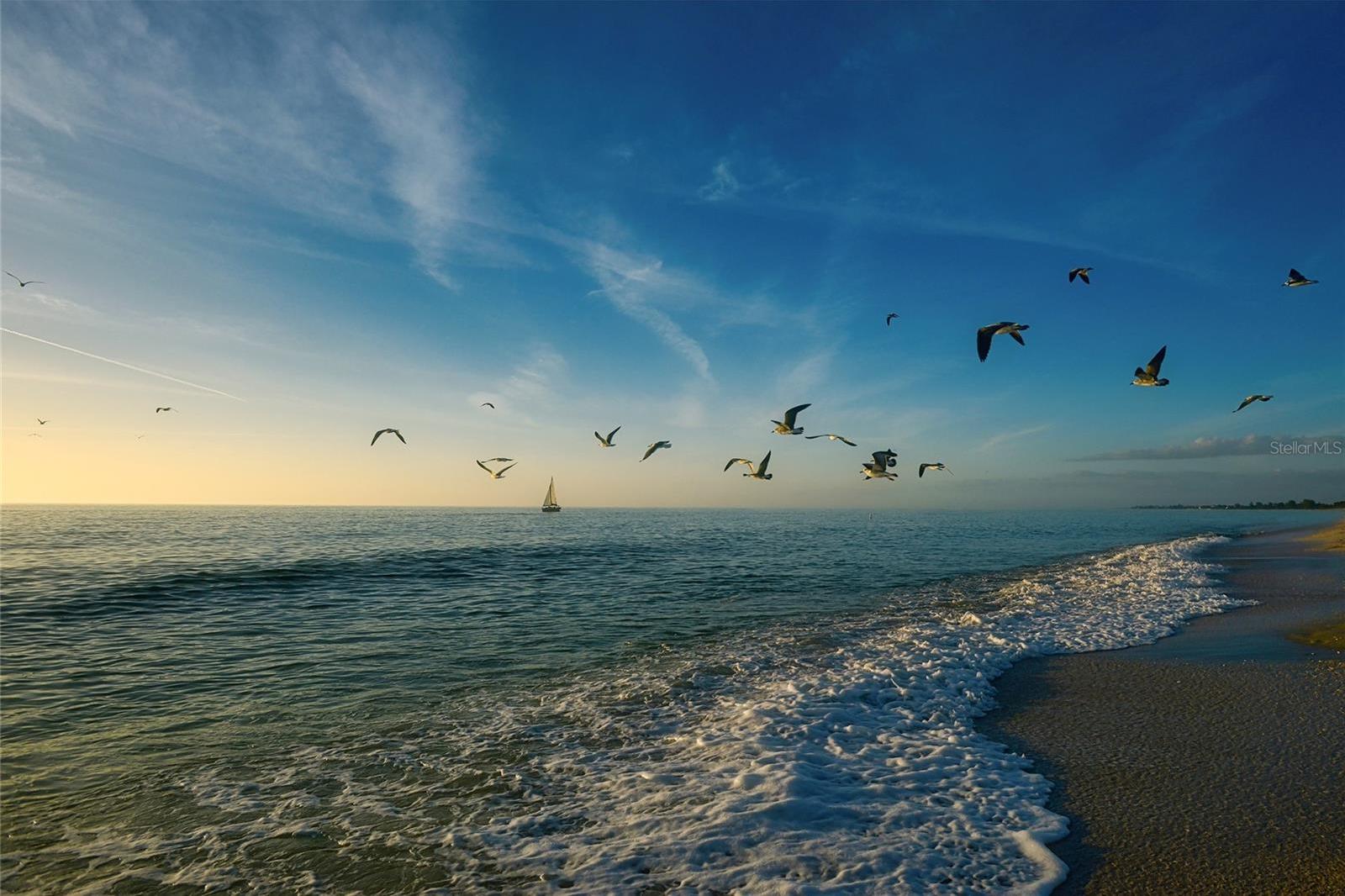 Photo #62
