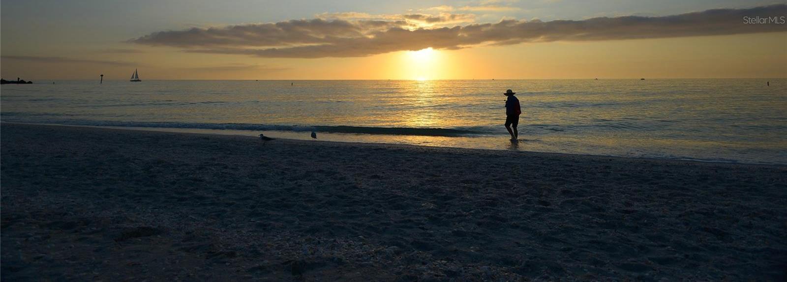 Photo #37