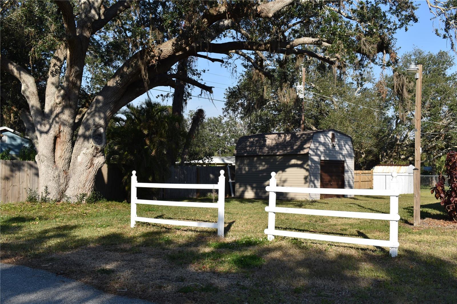 Photo #21