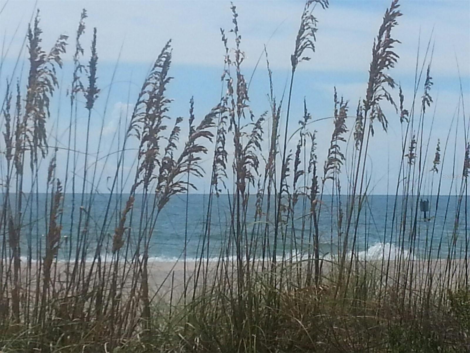 Photo #29