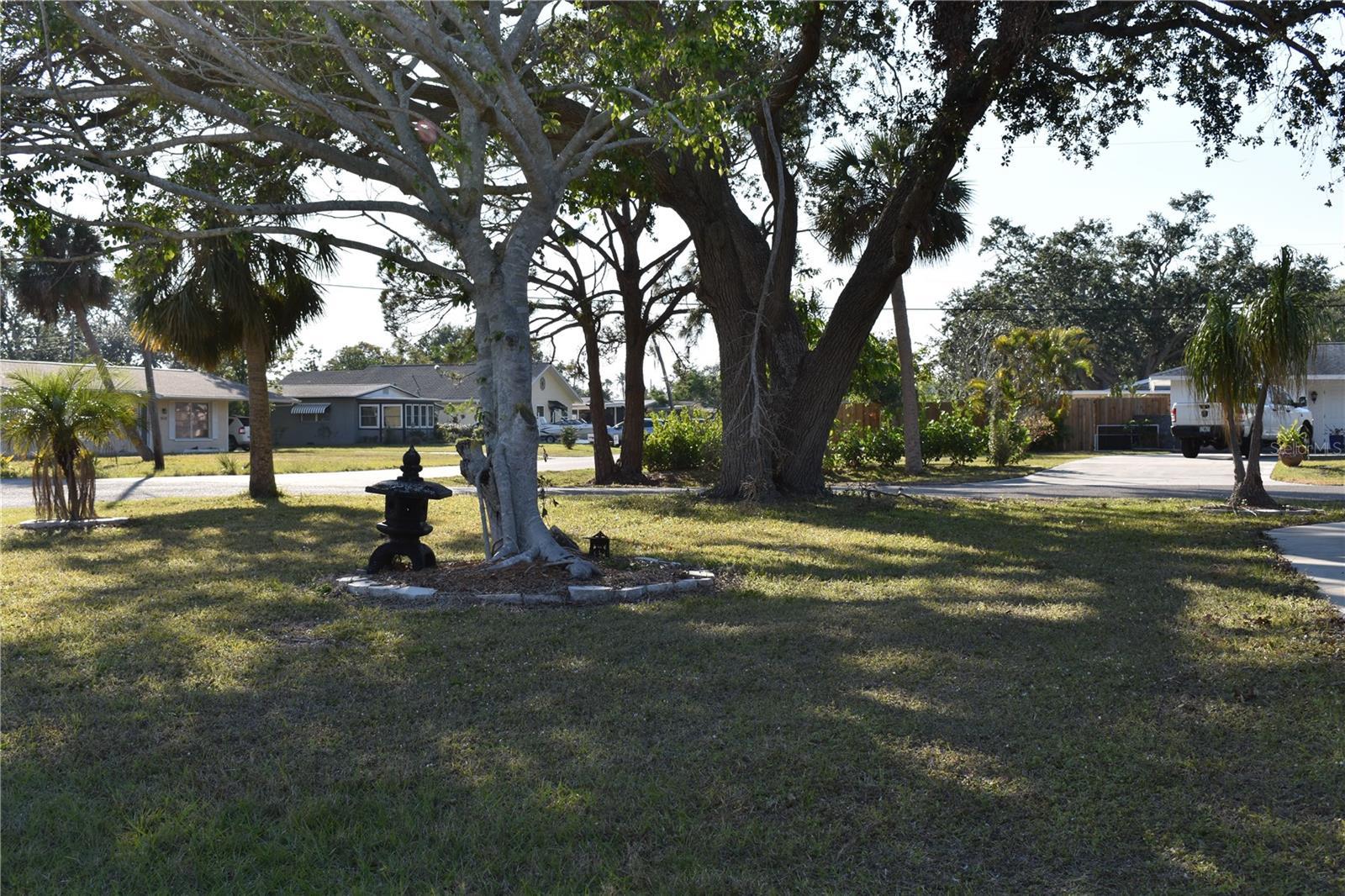 Photo #2