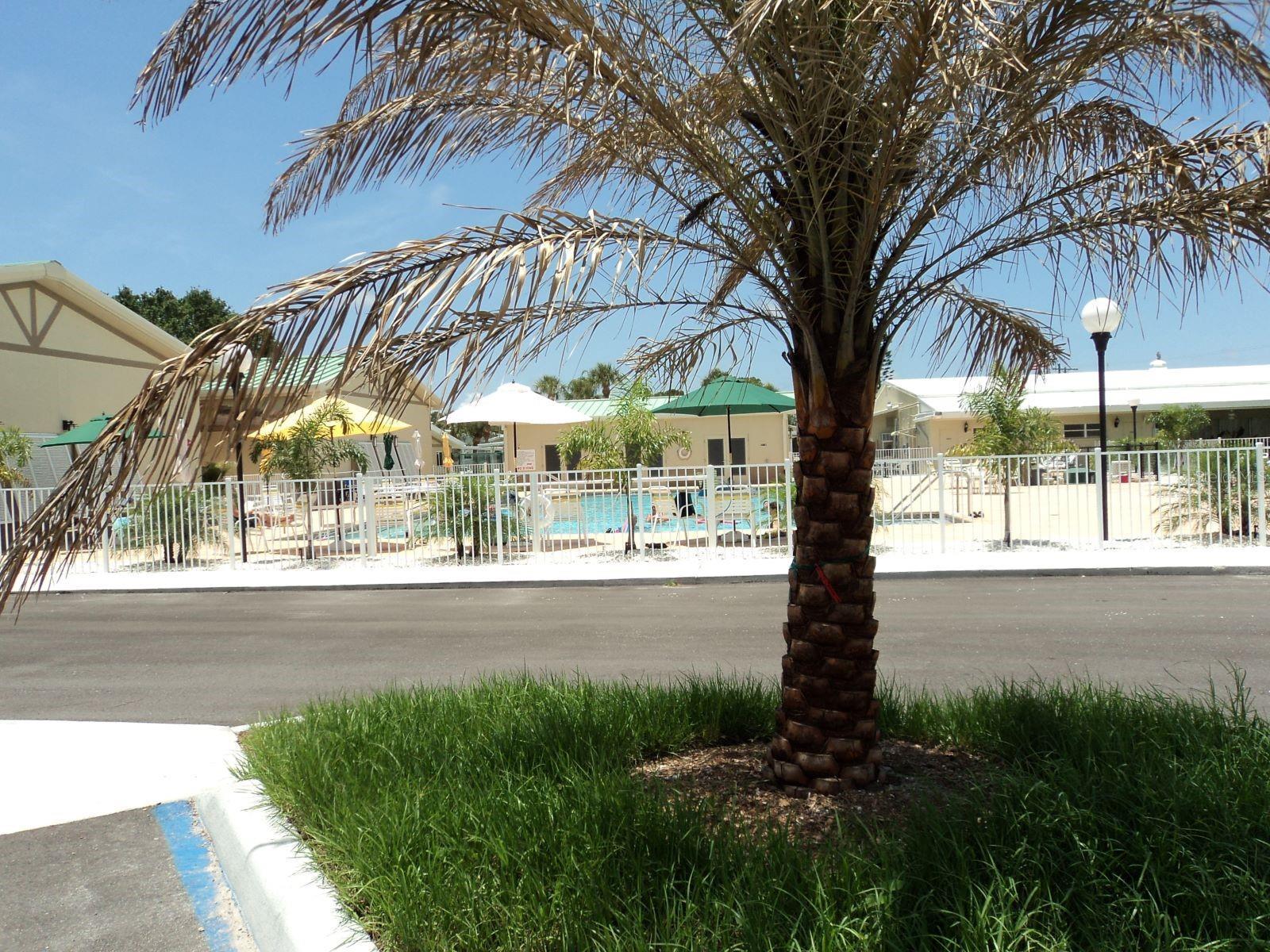 Photo #22