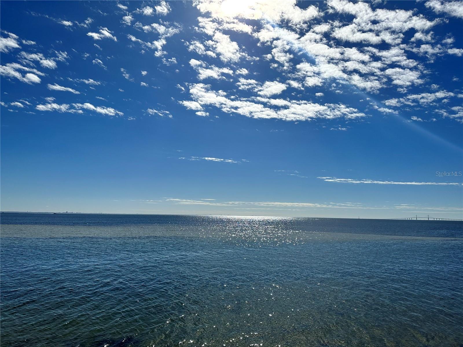Photo #56