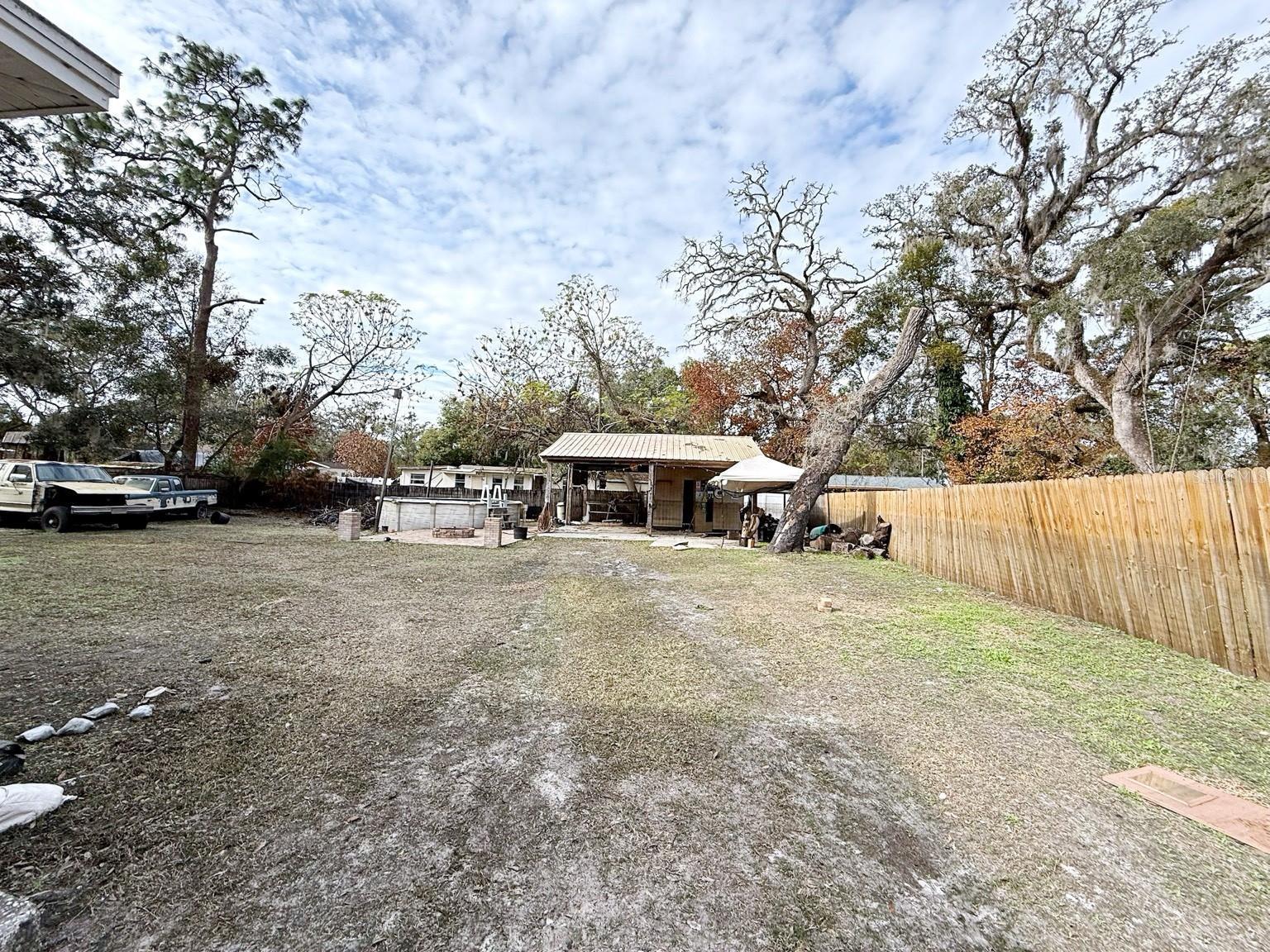 Photo #6