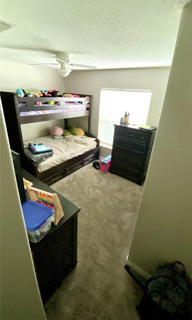 Photo #41