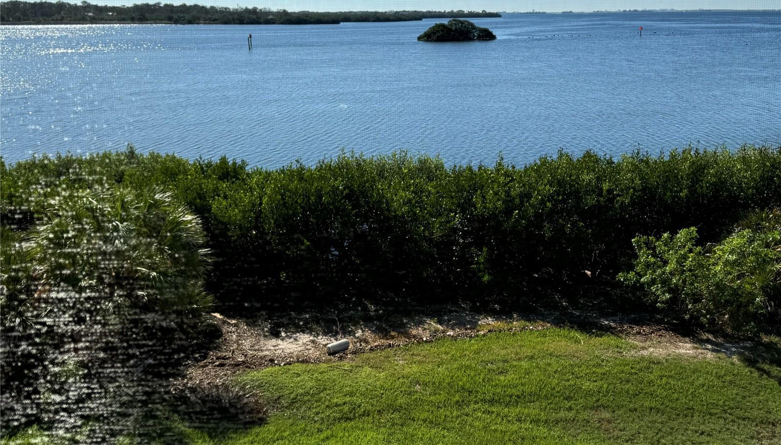 Photo #12