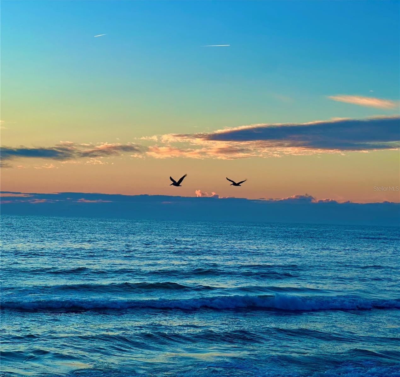 Photo #49