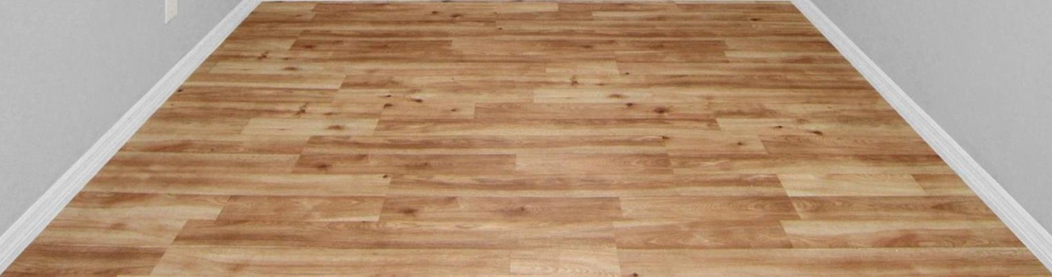 Photo #12