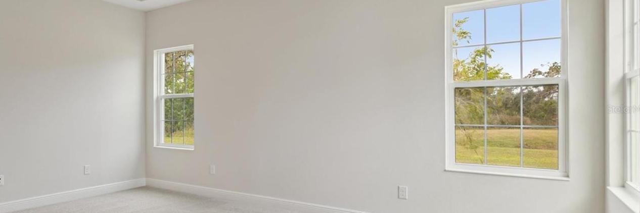 Photo #13