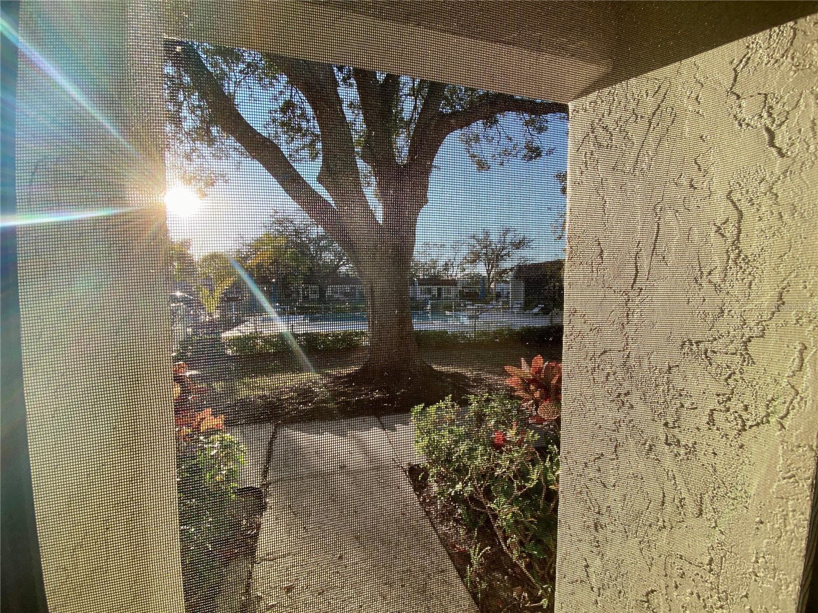 Photo #26