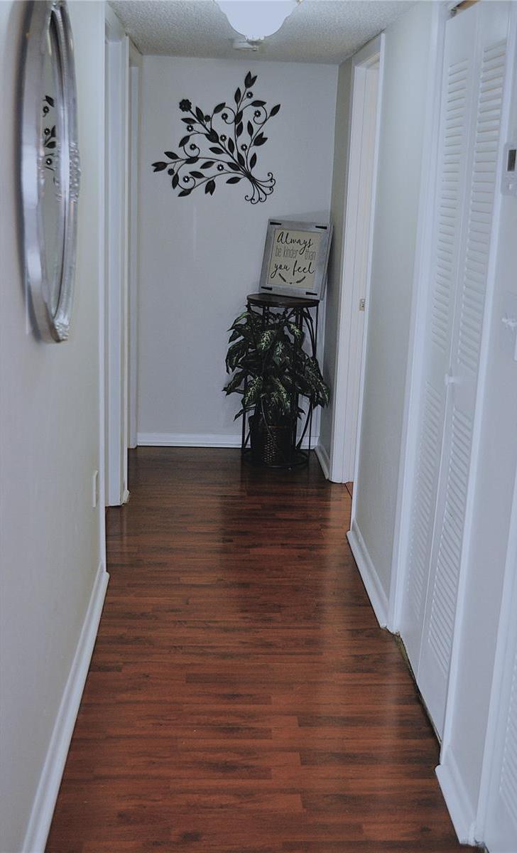 Photo #16