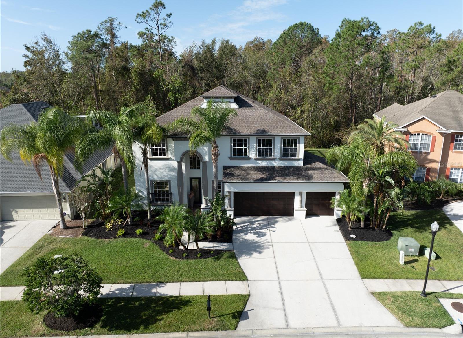 Photo one of 3405 Loggerhead Way Wesley Chapel FL 33544 | MLS TB8321930