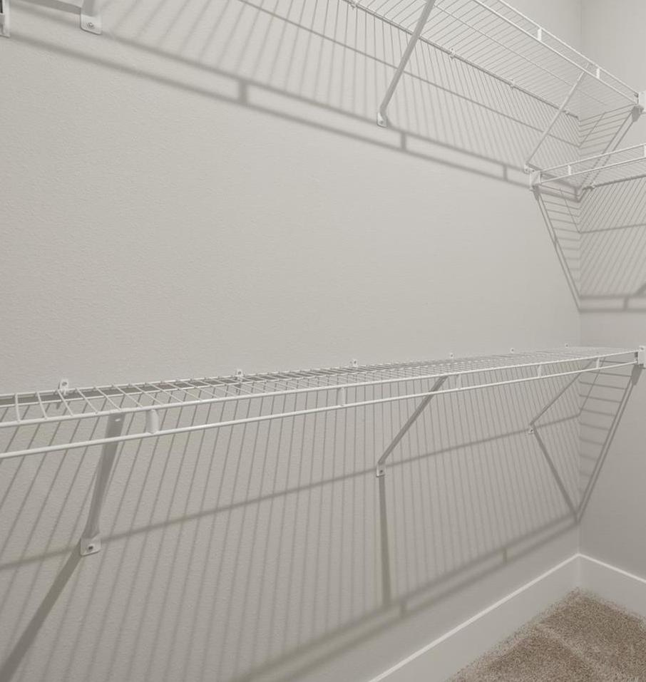 Photo #13