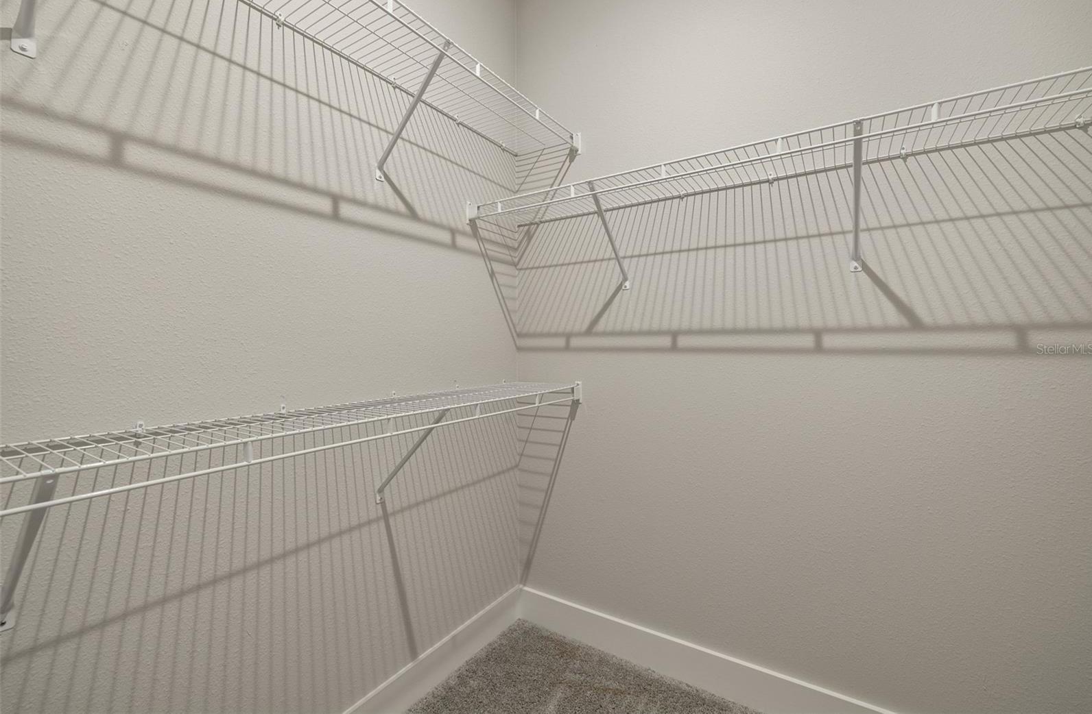 Photo #14