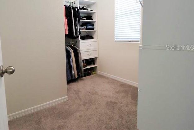 Photo #22