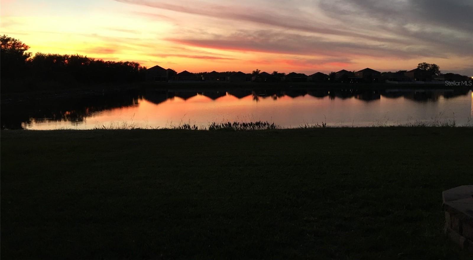 Photo #43