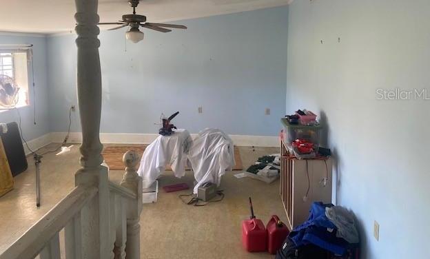 Photo #9