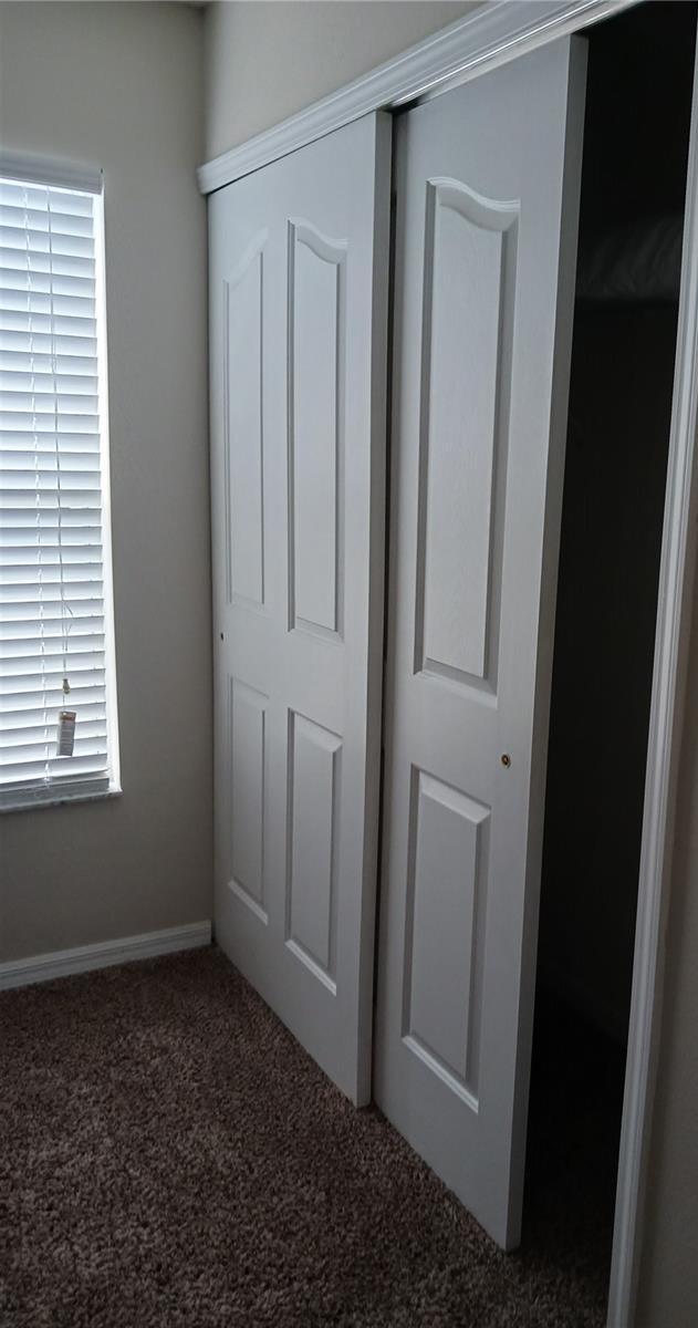 Photo #33