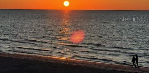Photo #43
