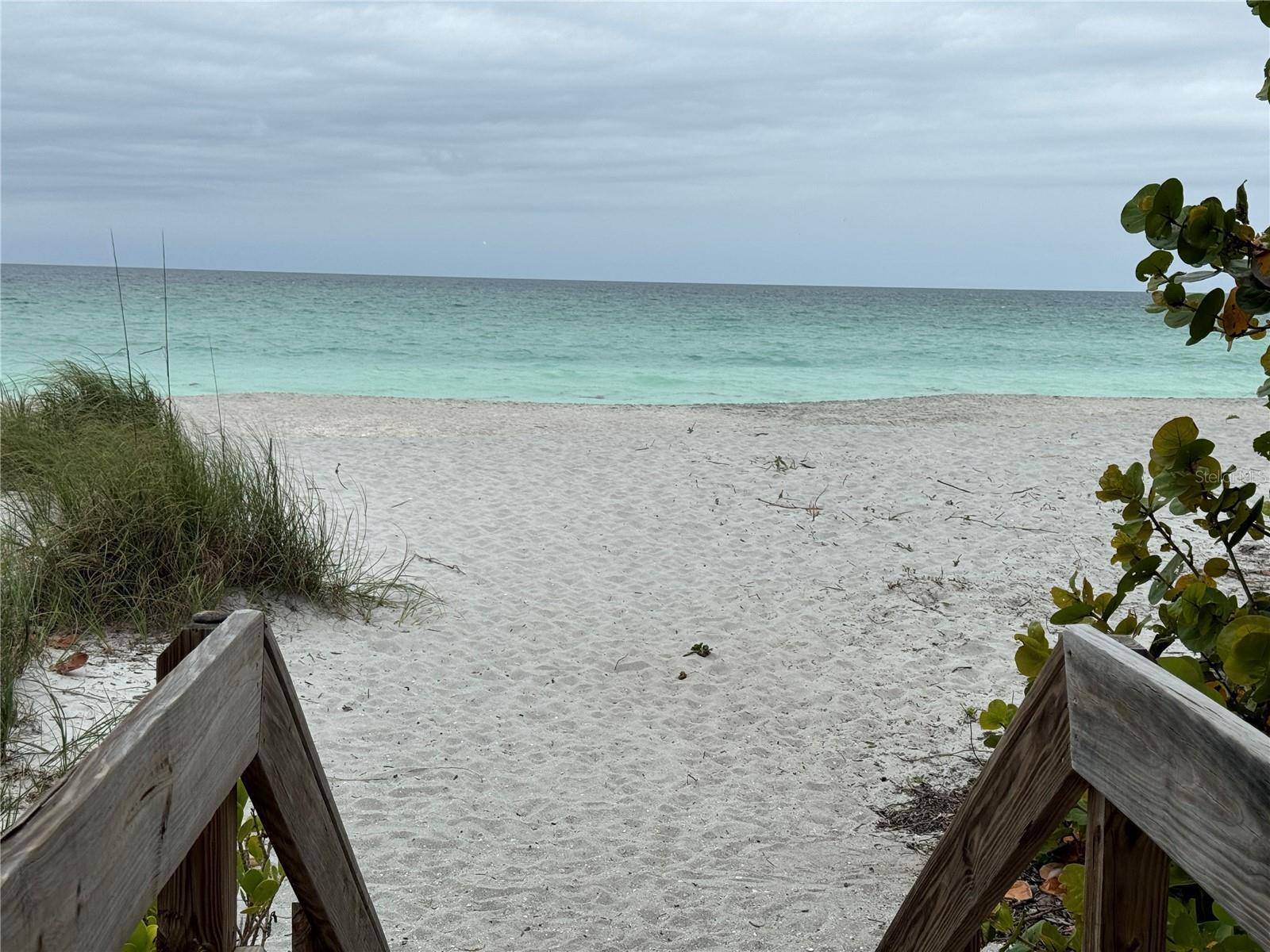 Photo #51