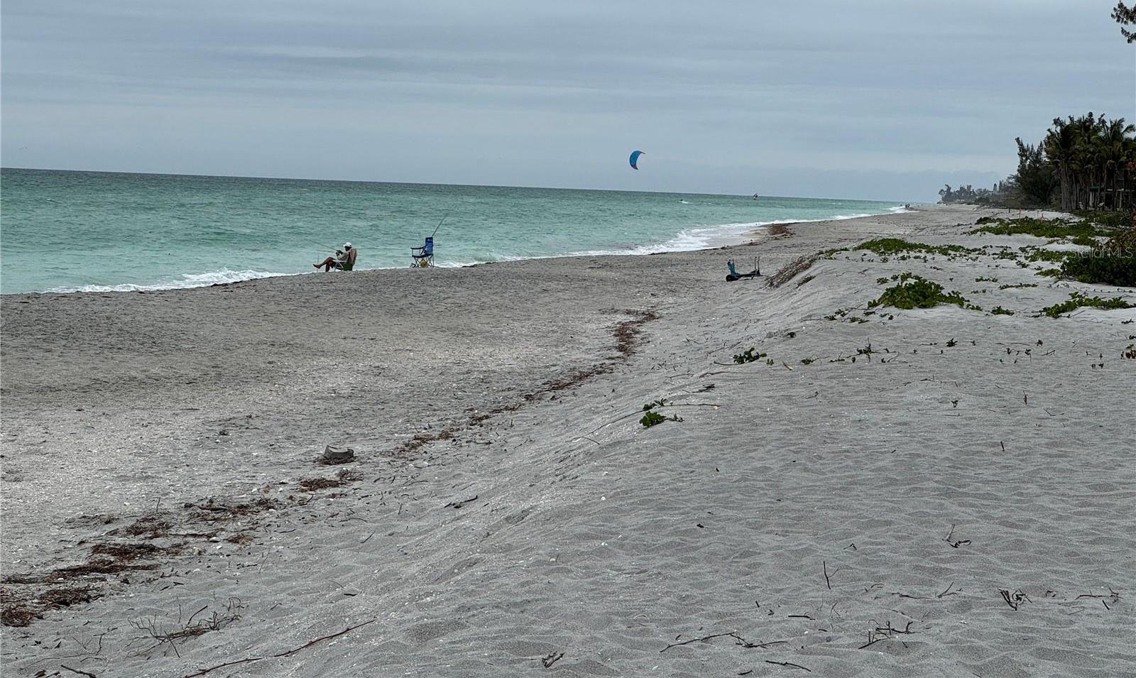 Photo #53