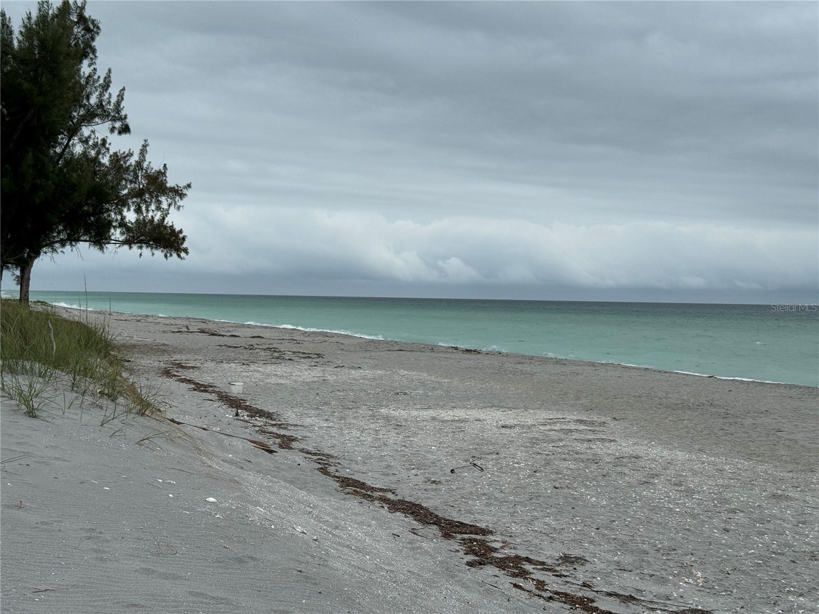 Photo #52
