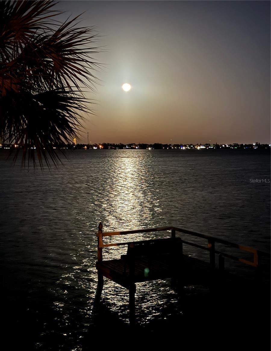 Photo #59