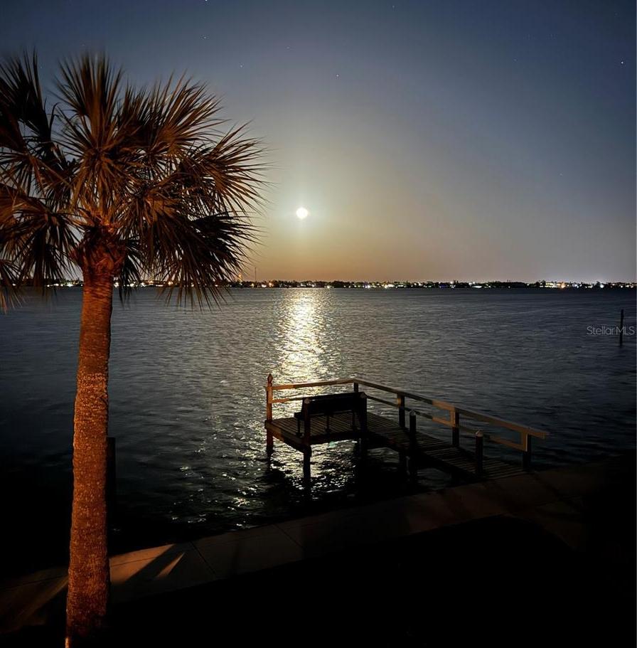 Photo #60