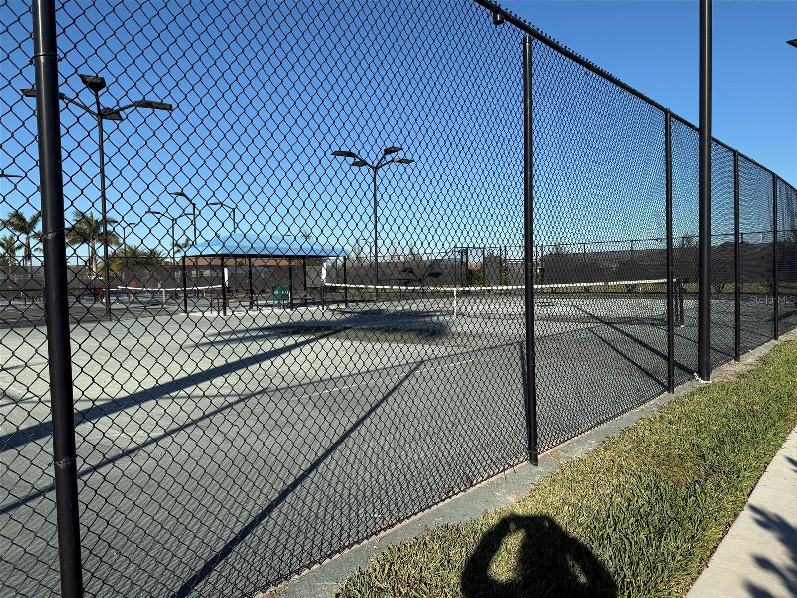 Photo #56