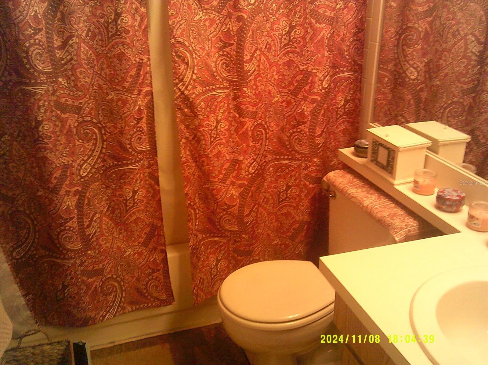 Photo #8