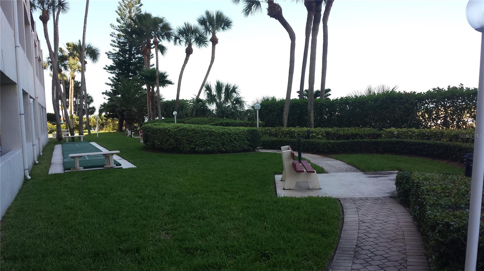 Photo #10