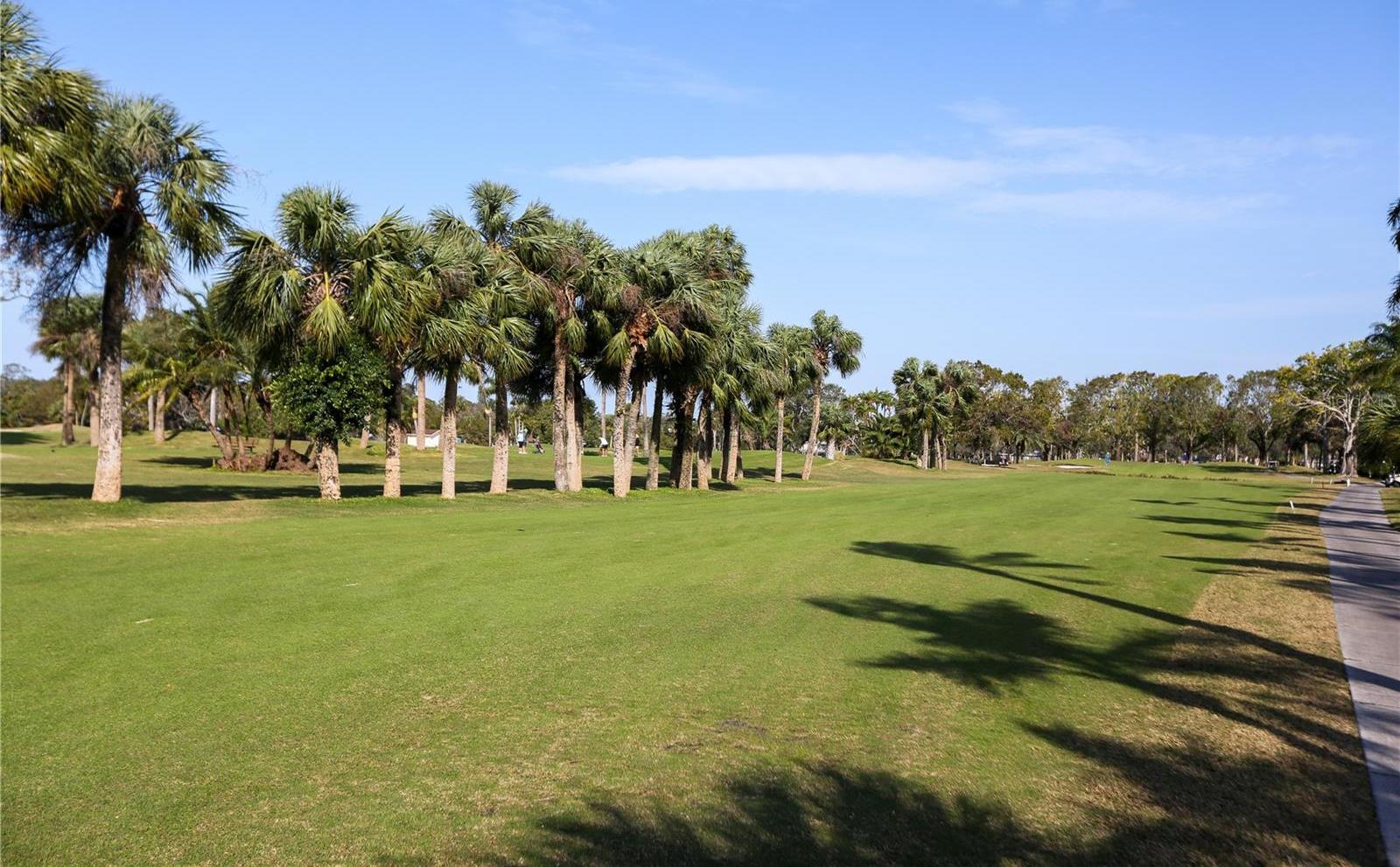 Photo #41