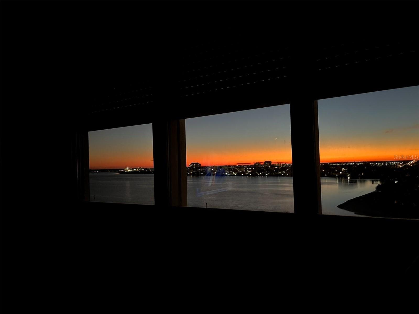 Photo #45
