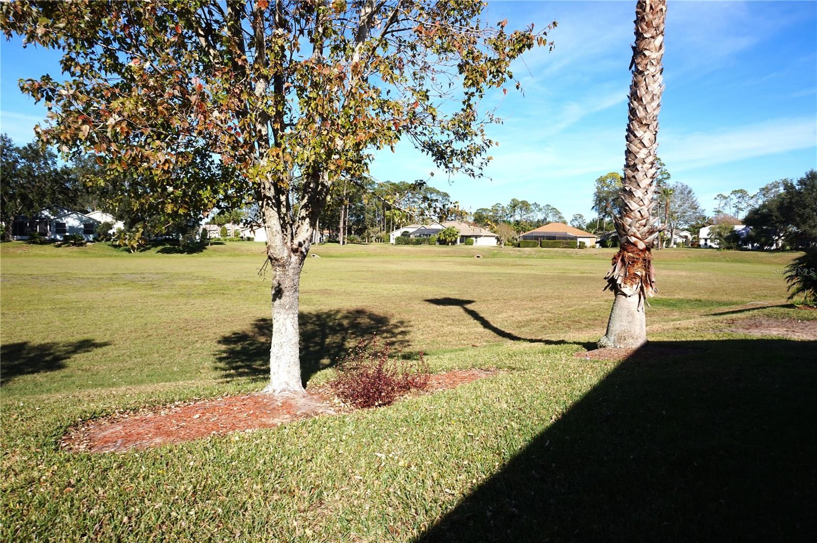 Photo #35