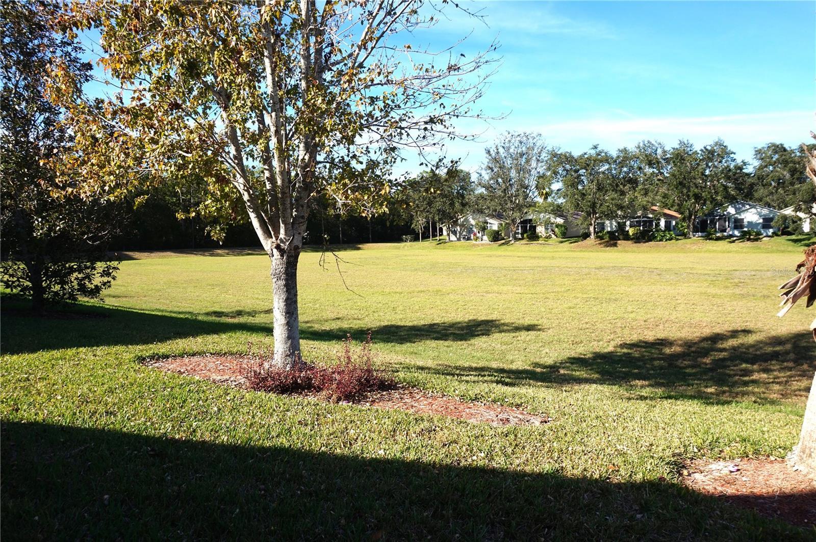 Photo #36