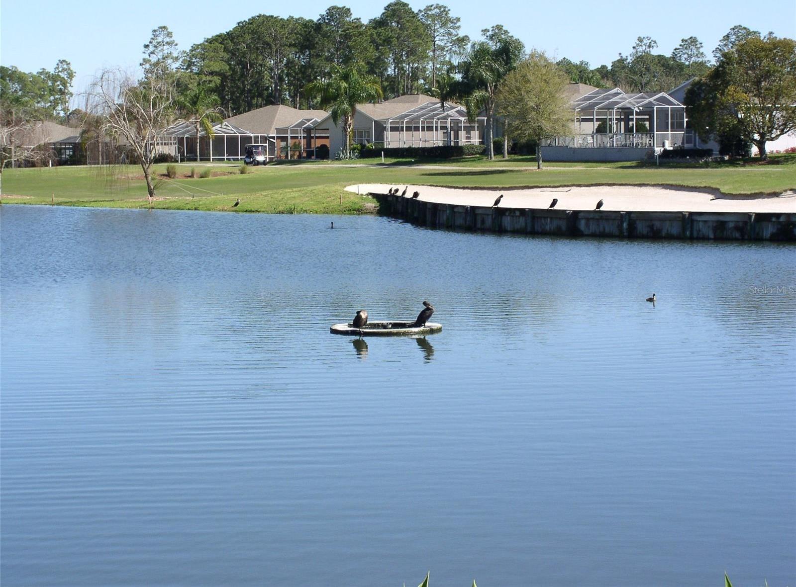 Photo #52