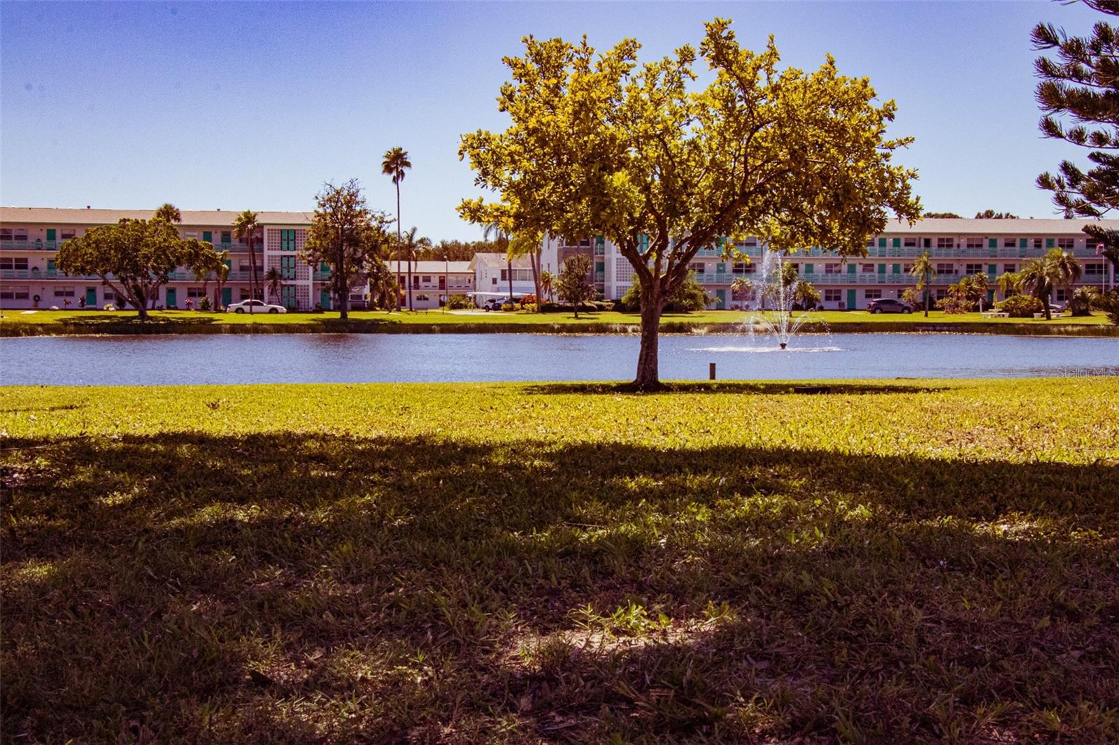 Photo #39