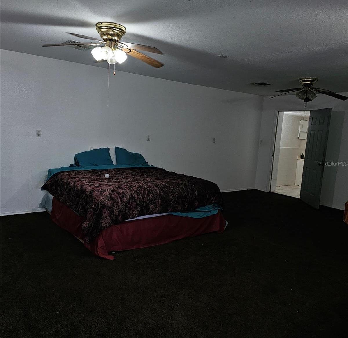 Photo #13