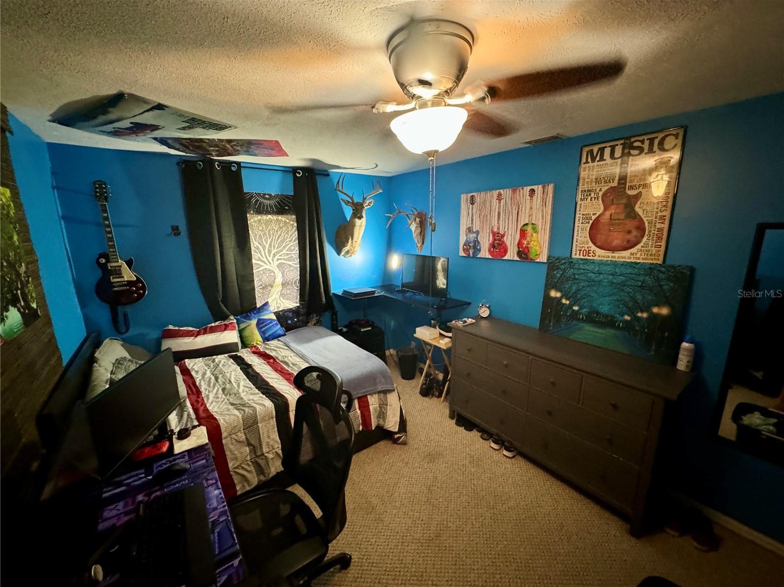 Photo #48