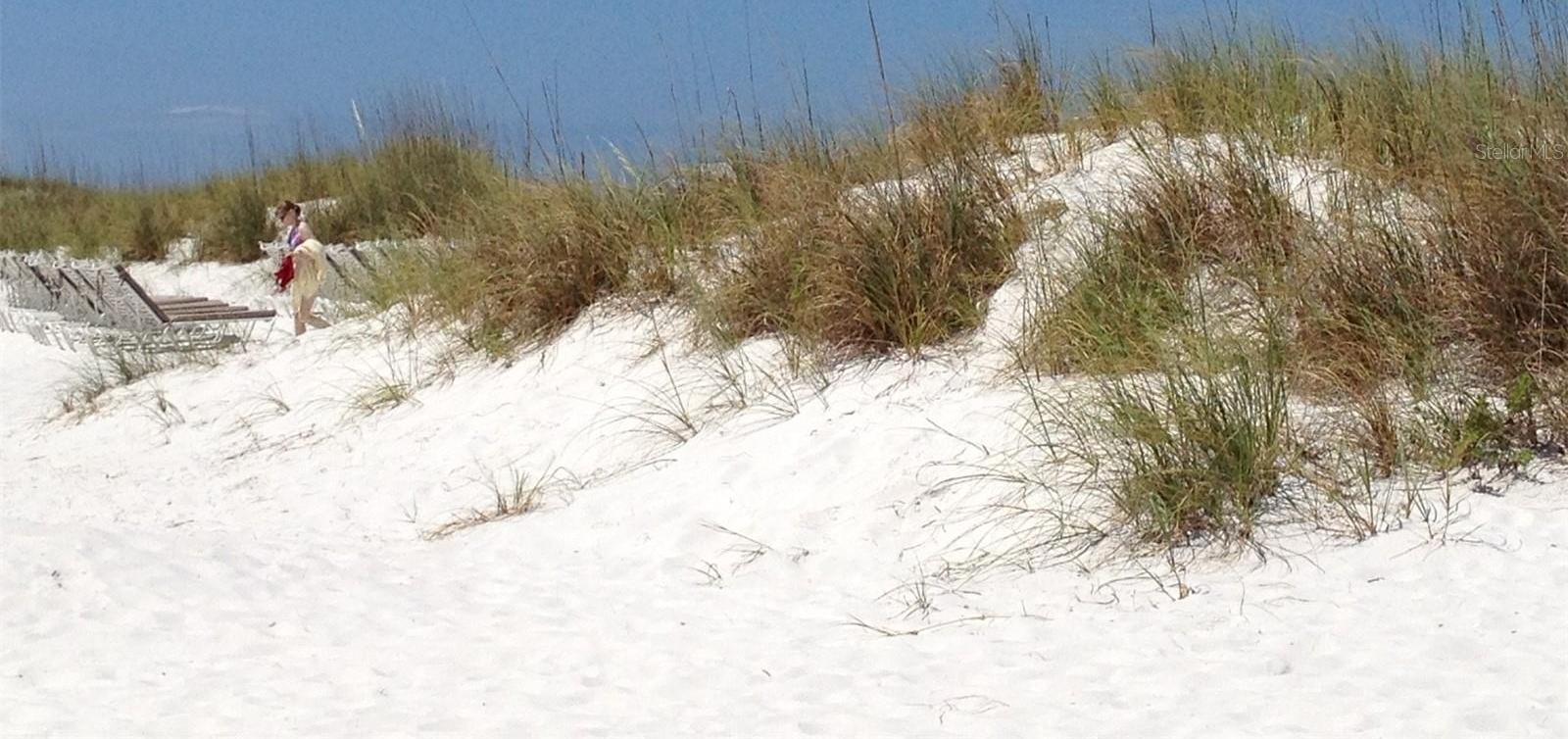 Photo #66