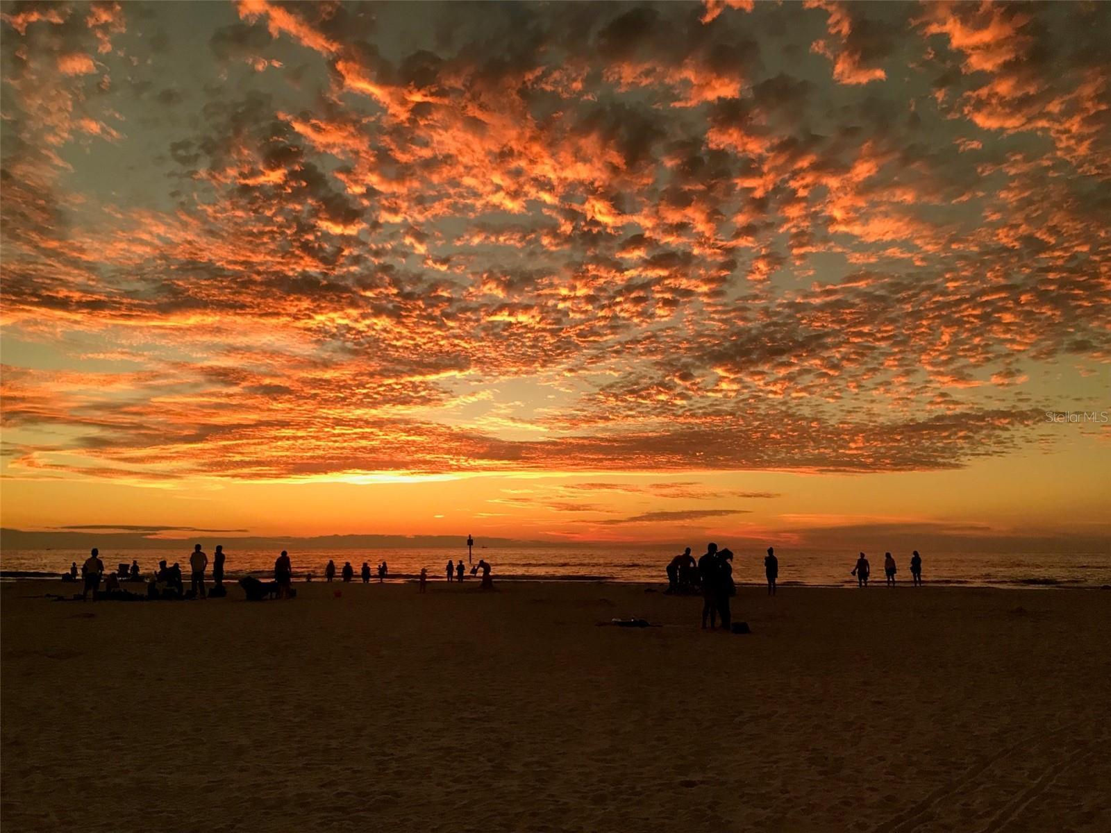 Photo #80